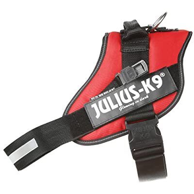 Julius-K9 IDC Imbracatura per Cani Blind-Guide Senza Manico, Taglia 3, Rosso Julius-K9 IDC Imbracatura per Cani Blind-Guide Senza Manico, Taglia 3, Rosso