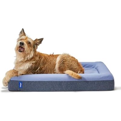 Casper Letto per Cani, Nylon, Blu, 89 x 114 x 18 cm (L x W x H) Casper Letto per Cani, Nylon, Blu, 89 x 114 x 18 cm (L x W x H)