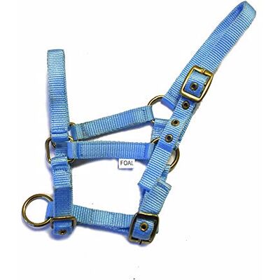 Rhinegold Copricapo in Nylon, Collare in Nylon Puledro, Azzurro, Taglia Unica Rhinegold Copricapo in Nylon, Collare in Nylon Puledro, Azzurro, Taglia Unica