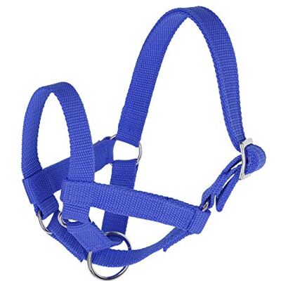 Kerbl Gr. 60 Lamas con testa grande, colore: blu Kerbl Gr. 60 Lamas con testa grande, colore: blu