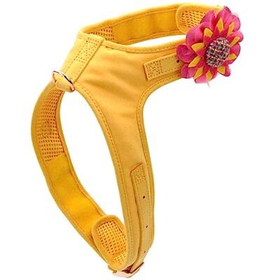 Coastal PET PRODOTTI ACCENT CANE CABLAGGIO TAGLIA UNICA Coastal PET PRODOTTI ACCENT CANE CABLAGGIO TAGLIA UNICA