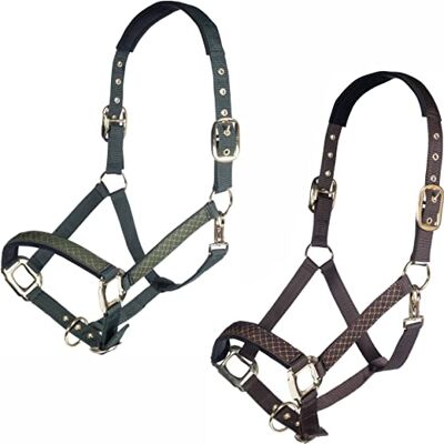 HKM Basilico Cavezza Dunkelgrün Pony HKM Basilico Cavezza Dunkelgrün Pony