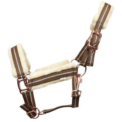 Horses Cavezza Con Longhina Kara In Nylon, Materiali Innovativi, Design Elegante, Dettagli Raffinati per Cavalieri Esigenti (Marrone/argento, Pony) Horses Cavezza Con Longhina Kara In Nylon, Materiali Innovativi, Design Elegante, Dettagli Raffinati per Cavalieri Esigenti (Marrone/argento, Pony)