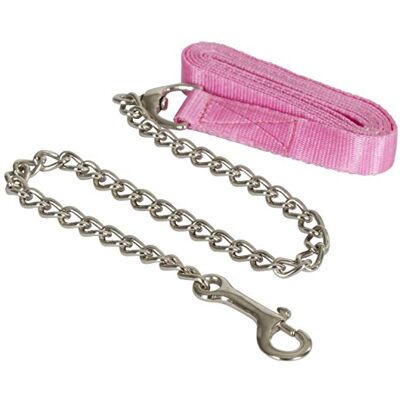 Kerbl Guinzaglio con Catena, 250 cm, Unisex, Führleine mit Kette, Pink 250cm, Pink, 250 cm Kerbl Guinzaglio con Catena, 250 cm, Unisex, Führleine mit Kette, Pink 250cm, Pink, 250 cm