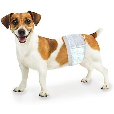 Four Paws Wee-Wee Fasce monouso per cani maschi Four Paws Wee-Wee Fasce monouso per cani maschi