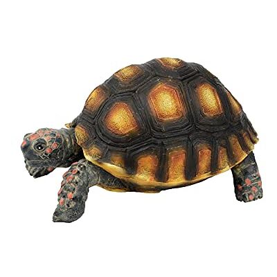 TERRATLANTIS Tartaruga tigre TD TERRATLANTIS Tartaruga tigre TD