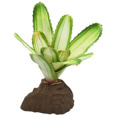 Lucky Reptile Scape it Easy – Bromelie Neoregelia bianco circa 20 cm – Pianta decorativa per terrari Lucky Reptile Scape it Easy – Bromelie Neoregelia bianco circa 20 cm – Pianta decorativa per terrari