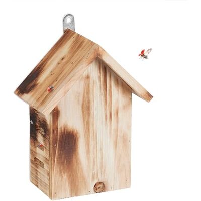 Relaxdays Casetta per Coccinelle - Legno di Pino Non Trattato - Giardino & Balcone Relaxdays Casetta per Coccinelle - Legno di Pino Non Trattato - Giardino & Balcone