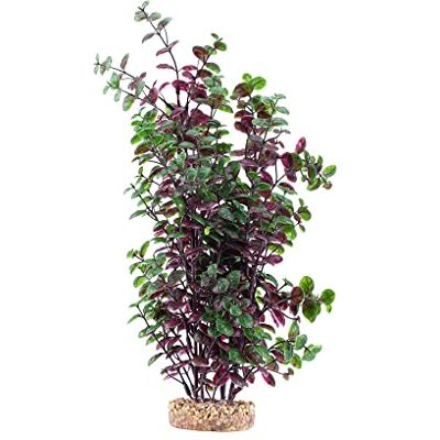 Fluval Aqualife Pianta di Bacopa, pianta decorativa in plastica per acquario, 35,6 cm Fluval Aqualife Pianta di Bacopa, pianta decorativa in plastica per acquario, 35,6 cm