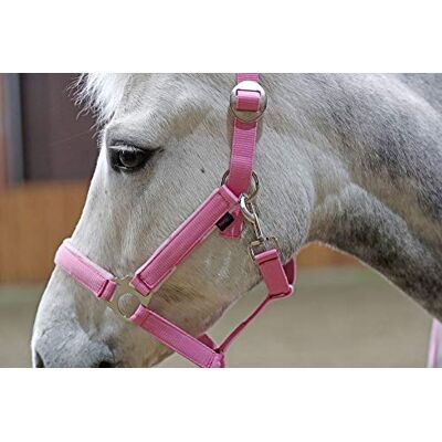 Kerbl Pony Set di cavezza Lilli Starlight, con motivo pony Kerbl Pony Set di cavezza Lilli Starlight, con motivo pony