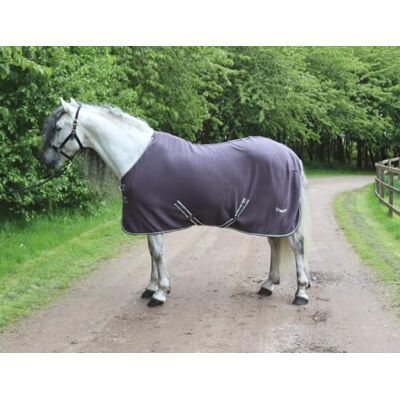 Rhinegold Elite Tappeto in Pile, 5/6, Grigio Rhinegold Elite Tappeto in Pile, 5/6, Grigio