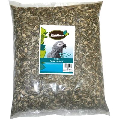 Yagu Nature Bradium Cibo Per Loros 2kg - Dieta Completa ed Equilibrata per Grandi Uccelli Yagu Nature Bradium Cibo Per Loros 2kg - Dieta Completa ed Equilibrata per Grandi Uccelli