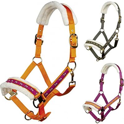 HKM Allure Cheval Cavezza arancione Pony HKM Allure Cheval Cavezza arancione Pony