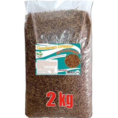 GardenersDream , Larve di tarme della Farina essiccate, 2 kg, mangime di Prima Scelta per Uccelli Selvatici GardenersDream , Larve di tarme della Farina essiccate, 2 kg, mangime di Prima Scelta per Uccelli Selvatici