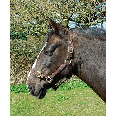 Rhinegold Collarino in Nylon Pony Marrone Rhinegold Collarino in Nylon Pony Marrone