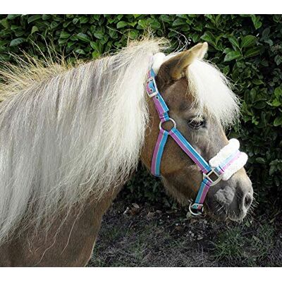 Rhinegold 323-turq Stripe-shet Cavezza per Pony, a Righe Luminose, Taglia Piccola, Colore Turchese Rhinegold 323-turq Stripe-shet Cavezza per Pony, a Righe Luminose, Taglia Piccola, Colore Turchese