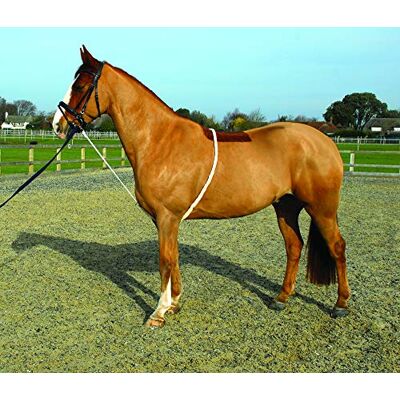 Rhinegold Soft Lunge Aid Rhinegold Soft Lunge Aid