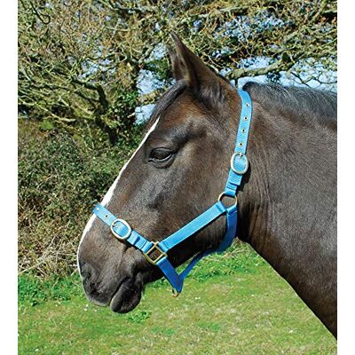 Rhinegold Collare in Nylon-Full-Turchese, 0 Rhinegold Collare in Nylon-Full-Turchese, 0