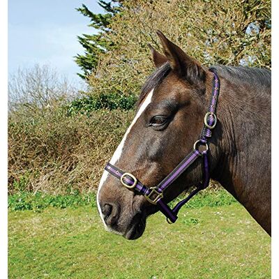 Rhinegold Cavezza in Nylon-Pannocchia-Nero/Viola, 0, COB Rhinegold Cavezza in Nylon-Pannocchia-Nero/Viola, 0, COB
