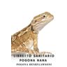 RETTILE, PARADIZE Libretto Sanitario Pogona Nana (Pogona henrylawsoni): Alimentazione, Muta, Taglia, Peso, Manutenzione mensile, Riproduzione, Veterinario, ...