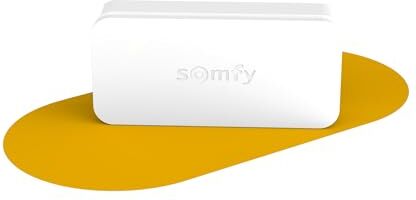 somfy 2401487 IntelliTAG   Rilevatore di vibrazioni autoschermato per interni o esterni   Rilevamento pre-apertura   Compatibile  Uno (+) e  Home Alarm (avanzato)