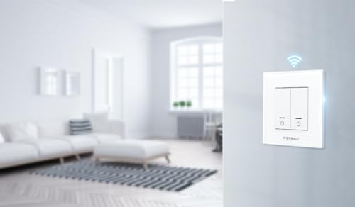 Aigostar Interruttore WiFi a Domotica, Smart Wall Switch Controllo Vocale Alexa, One Gang One Way Switch, MAX.2300W LED 690W, Bianco