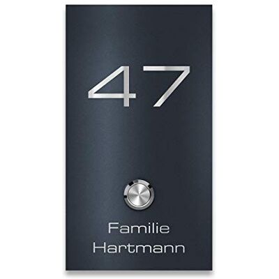 Metzler campanello da parete acciaio inox antracite RAL7016 incisione personalizzata pulsante LED impermeabile IP67 design moderno resistente intemperie montaggio semplice 10 anni di disponibilità ric Metzler campanello da parete acciaio inox antracite RAL7016 incisione personalizzata pulsante LED impermeabile IP67 design moderno resistente intemperie montaggio semplice 10 anni di disponibilità ric