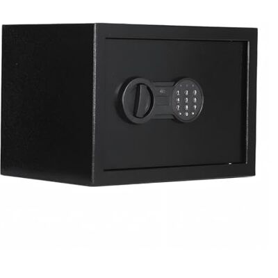 Garvee Scatola di sicurezza in acciaio con doppio sistema di chiusura, cassaforte con ignifugo, impermeabile, allarme, scomparto rimovibile, montaggio a parete/pavimento, per soldi, gioielli Garvee Scatola di sicurezza in acciaio con doppio sistema di chiusura, cassaforte con ignifugo, impermeabile, allarme, scomparto rimovibile, montaggio a parete/pavimento, per soldi, gioielli