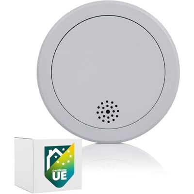 Rilevatore di fumo Smartwares FSM-12300 - Batteria e sensore da 10 anni - Allarme incendio Rilevatore di fumo Smartwares FSM-12300 - Batteria e sensore da 10 anni - Allarme incendio