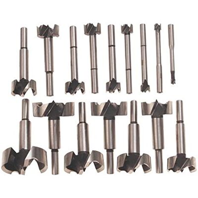 Set di punte Forstner Bosch FB1600 - 16 Pezzi Set di punte Forstner Bosch FB1600 - 16 Pezzi