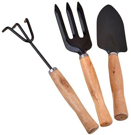 V&AMYA Set 3 pezzi utensili da giardino attrezzi per giardino set giardinaggio 3 accessori 2 Rastrelli e 1 Paletta