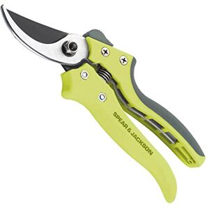 Jackson Cesoia a bypass media della collezione Kew Gardens Razorsharp Jackson Cesoia a bypass media della collezione Kew Gardens Razorsharp