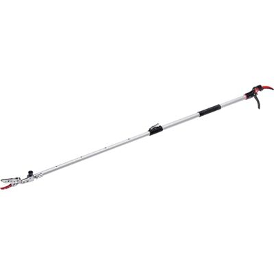 Meister Forbici telescopiche da 111 a 166 cm, diametro 10 mm, capacità di taglio ideali per rami alti e laghetti per la cura dei laghetti, con manico SoftTouch e rivestimento antiaderente Meister Forbici telescopiche da 111 a 166 cm, diametro 10 mm, capacità di taglio ideali per rami alti e laghetti per la cura dei laghetti, con manico SoftTouch e rivestimento antiaderente