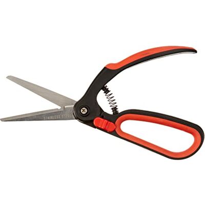 Meister Buchsbaumschere Lame in acciaio inossidabile Funzionamento con una sola mano Per il taglio di legno di bosso e Formgehölz / Tagliasiepi / Taglia cespugli / Cesoie per arbusti / Meister Buchsbaumschere Lame in acciaio inossidabile Funzionamento con una sola mano Per il taglio di legno di bosso e Formgehölz / Tagliasiepi / Taglia cespugli / Cesoie per arbusti /