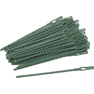 Meister Raccoglitore per piante 50 × 170 mm Pratico set da 100 pezzi Con anima flessibile Per giardino, casa e hobby Realizzato in plastica/Raccoglitore multiuso/legante a vite/cravatta Meister Raccoglitore per piante 50 × 170 mm Pratico set da 100 pezzi Con anima flessibile Per giardino, casa e hobby Realizzato in plastica/Raccoglitore multiuso/legante a vite/cravatta