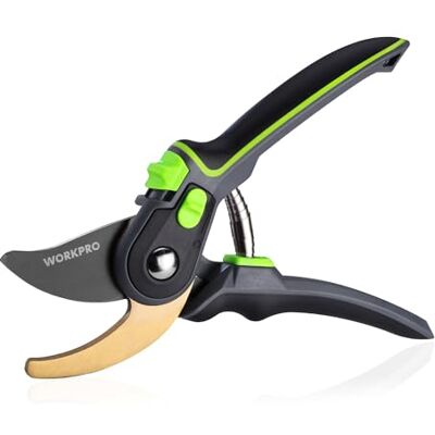 WORKPRO Forbici da Giardino Bypass, Potatrice Professionale con Impugnatura Regolabile, Strumento Ideale per Innesti, Potatura, Raccolta, Forbici per Piante e Alberi da Giardinaggio WORKPRO Forbici da Giardino Bypass, Potatrice Professionale con Impugnatura Regolabile, Strumento Ideale per Innesti, Potatura, Raccolta, Forbici per Piante e Alberi da Giardinaggio
