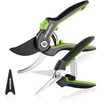WORKPRO Set 2 Forbici Cesoie da Potatura: Cesoia Bypass SK5 210mm per Rami Freschi e Cesoia da Raccolta 160mm per Fiori e Frutta, Ideale per Rose e Giardinaggio WORKPRO Set 2 Forbici Cesoie da Potatura: Cesoia Bypass SK5 210mm per Rami Freschi e Cesoia da Raccolta 160mm per Fiori e Frutta, Ideale per Rose e Giardinaggio