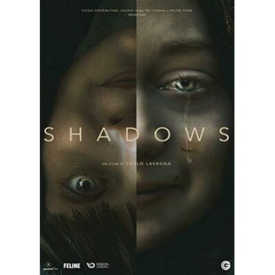 Vision Shadows Vision Shadows