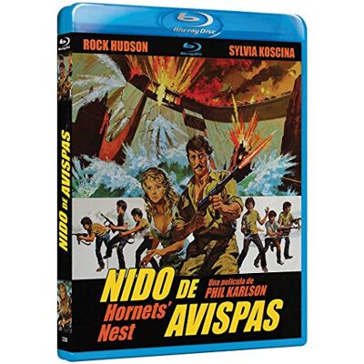 Nido De Avispas --- IMPORT ZONE B --- Nido De Avispas --- IMPORT ZONE B ---
