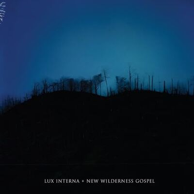 Prophecy New Wilderness Gospel Prophecy New Wilderness Gospel