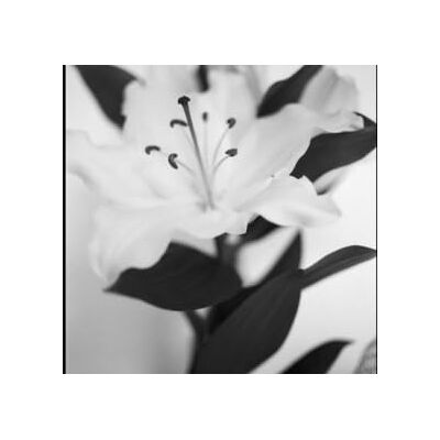 Barclay Toi Et Moi (Mr. Fingers Remixe) Barclay Toi Et Moi (Mr. Fingers Remixe)