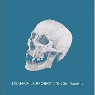 Pro-Ject Sir Mandrill Pro-Ject Sir Mandrill
