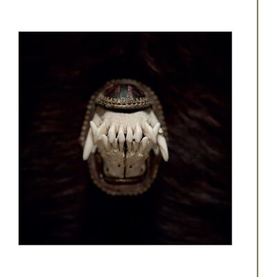 Relapse Records De Toorn ( vinyl ) Relapse Records De Toorn ( vinyl )