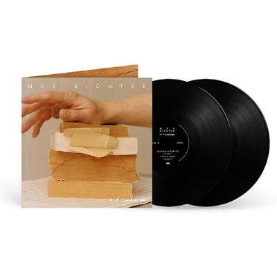 Verve IN THE LANDSCAPE (2 LP) Verve IN THE LANDSCAPE (2 LP)