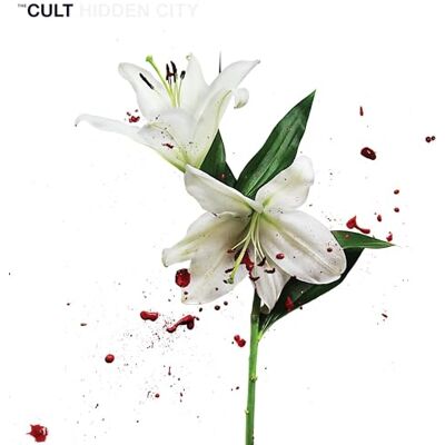 Cult Hidden City Cult Hidden City