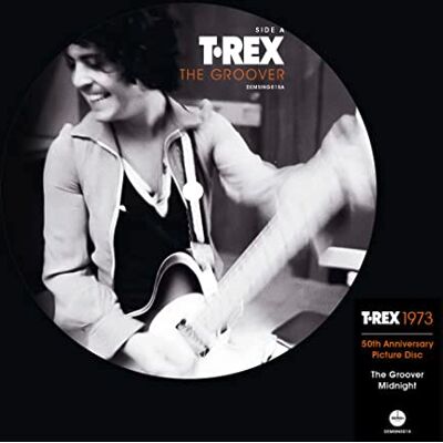 Rex the groover (50th anniversary) picture disc Rex the groover (50th anniversary) picture disc