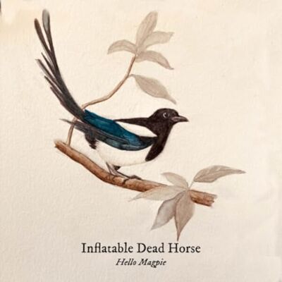 Unique Hello Magpie Unique Hello Magpie