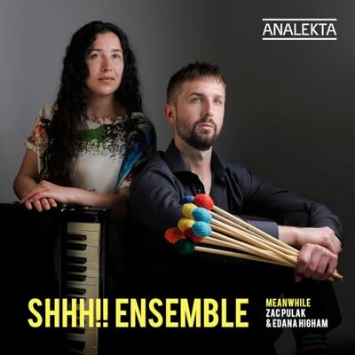 Ensemble Meanwhile Ensemble Meanwhile