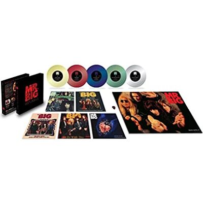 Mr. Big Lean Into It The Singles (5 LP) Mr. Big Lean Into It The Singles (5 LP)