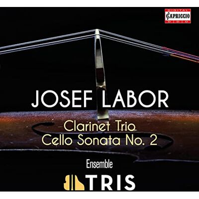Ensemble Josef Labor: Clarinet Trio, Cello Sonata No. 2 Ensemble Josef Labor: Clarinet Trio, Cello Sonata No. 2